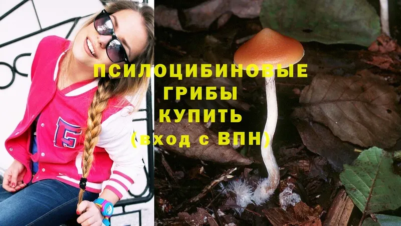 Псилоцибиновые грибы Cubensis  дарнет шоп  Салават 